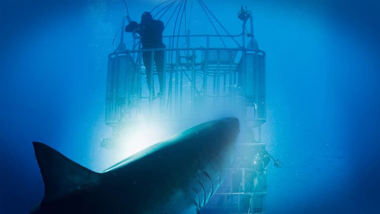 /hKcir4e0JiVKYXXWzjp47oE8MpA.jpg