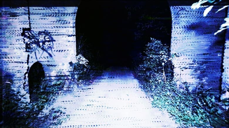 /hXHrfihU5Ysa8ljVkpwbp7S7cuT.jpg