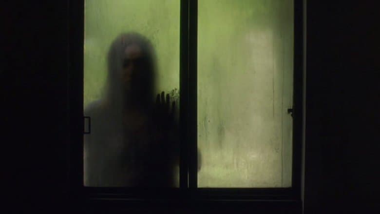 /i5fHWXyLS5nn93roVhS3AB89QUh.jpg