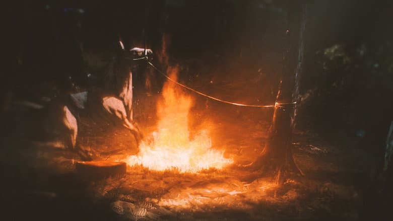 /iDygz9VeWDCem2XRa5uhjIX94fU.jpg