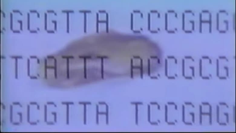 /iJa6PgaS9usxJi0D3I2HqGL02hF.jpg