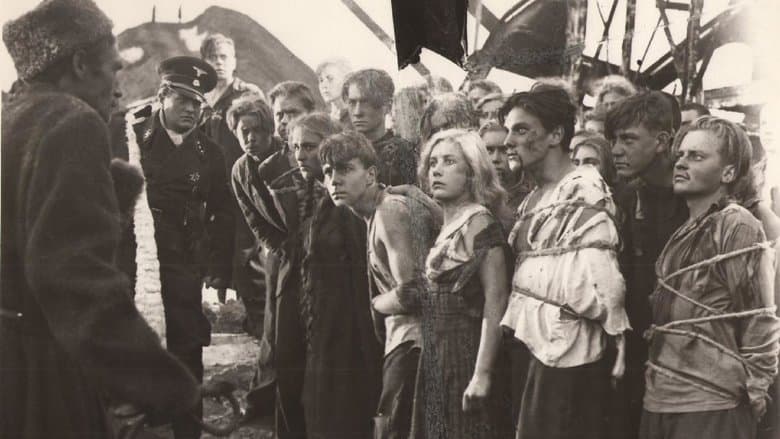 /iaeiWzpAO1ha0ZosRswzs3qO7x1.jpg