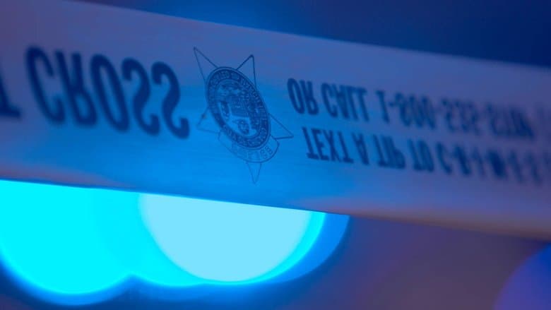 /ip12SZiQY8nAu3PtrHv0zWs21QL.jpg