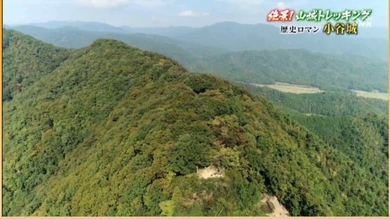 /jUfUFDrNVNKSn8iGulodGLb88Km.jpg