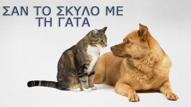 /jhP8W2jI8z4E7RrN8Hk0PSNTeBk.jpg