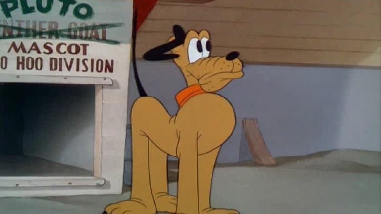 /k9t4NZ636l0P0fsuhKaRwA4XmK0.jpg