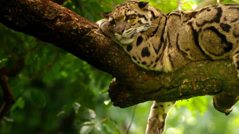 /kBMtwgDXItt1ffdTe5hm7Ez0XHj.jpg