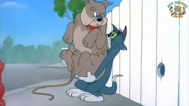 /kyh7OYQ4pbf94p3dlCOBhMsqxbS.jpg