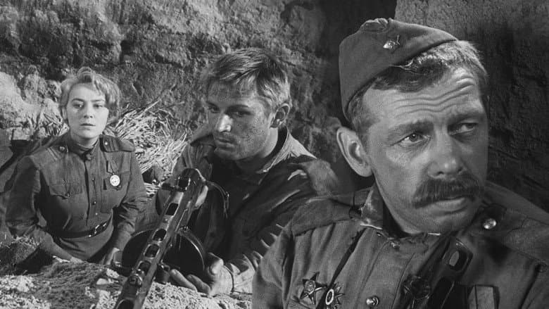 /lFC5toNM0ohFIpELNWvX717kOfb.jpg