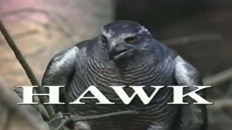 /lInigJ4UuF49k1Vf8pb9LvvmFnU.jpg