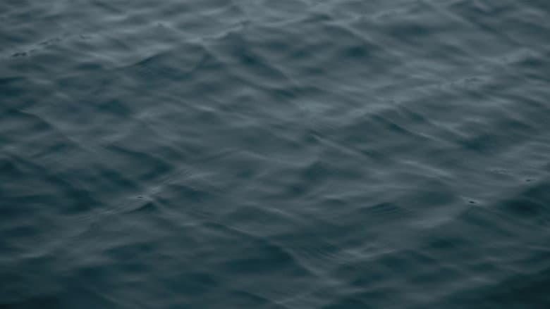 /lLPHiJJPe9OR8rpPFpI2DH39G1F.jpg