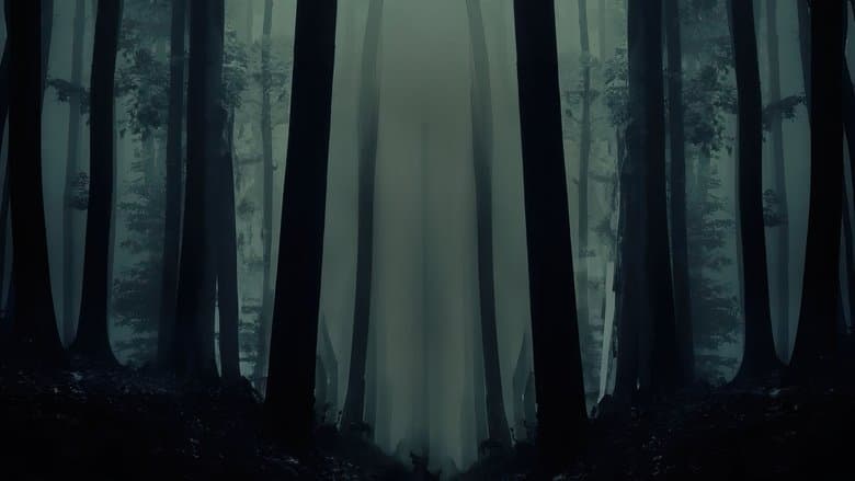/lORD71uLXh4MV40D6ZcFnsQqB8a.jpg
