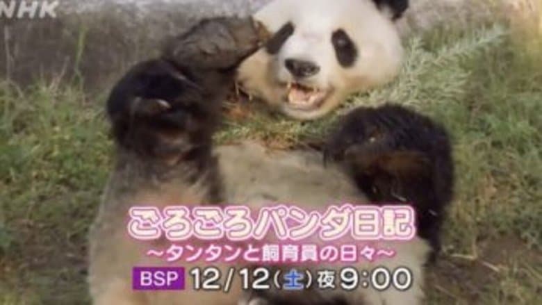 /lTSsE4PRlzsafEAEGCGCNtv9zNu.jpg