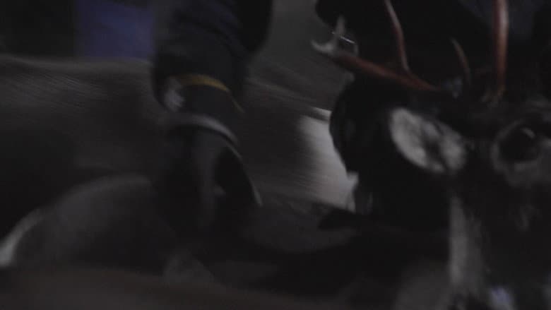 /lkBZ1lsD3Aw69Vv0csKoKrdxykS.jpg