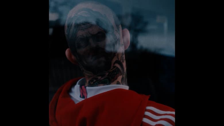 /lmAG8QYARDFDtrNfcO4faFGa5dd.jpg