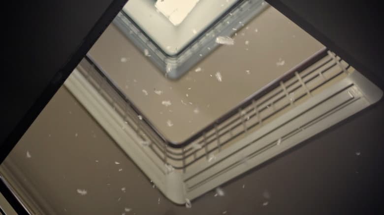 /lo5JxdQ0KFjdujceoMnwwPCD14f.jpg