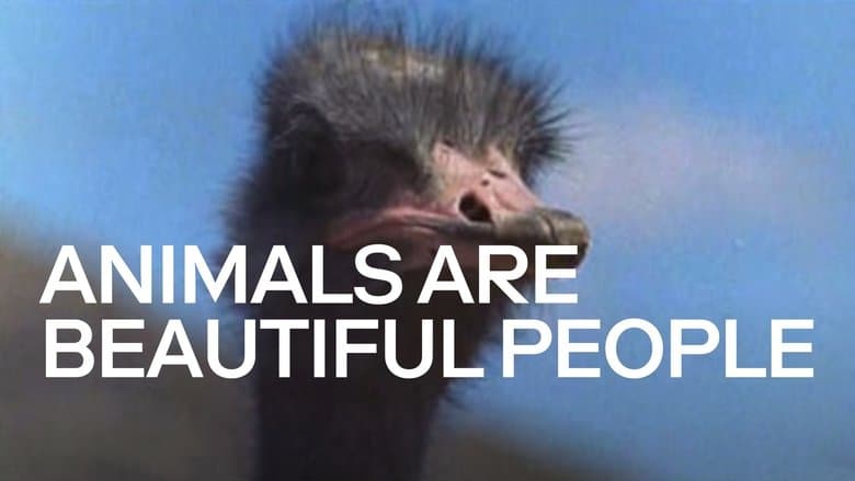 /m8Zqys2Lq20EzQEqd5b0GhXmc76.jpg