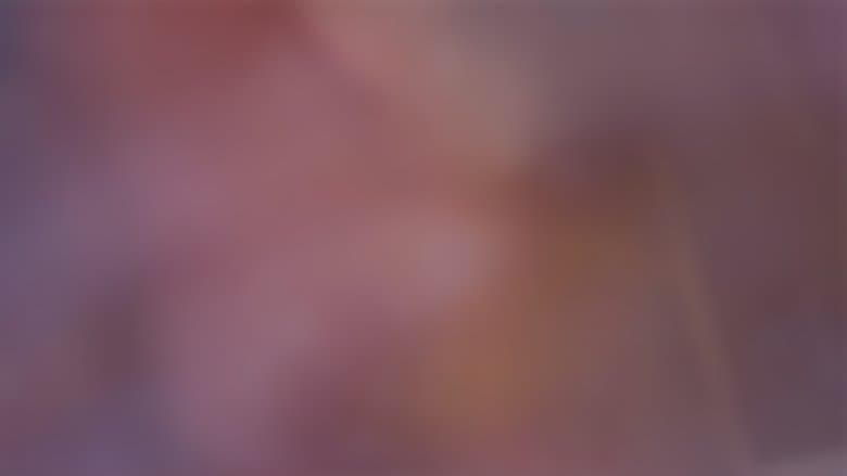 /mG4VGPF8PPr2qjqNiR3GA9FJRxb.jpg