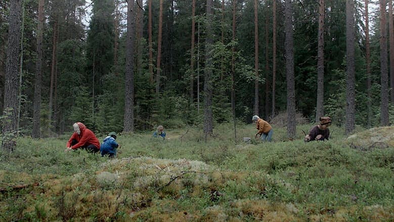 /mPDpdxdJ6Vu6kXf9OAuSIMpArsK.jpg