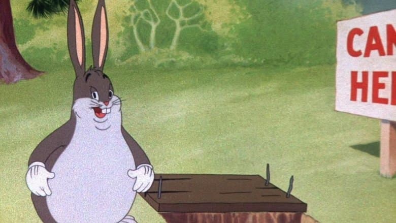 /mb9NiWUkcLKZQR45nSyBvrxbY8f.jpg