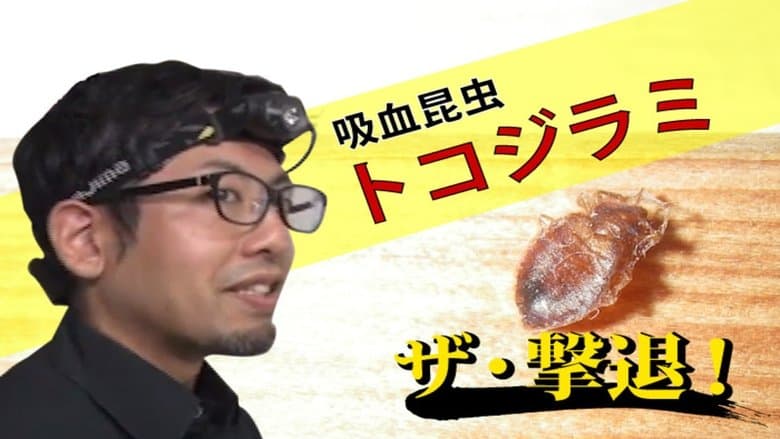 /n2RiYh9W4PTUl8qaL95pEhQdvGQ.jpg