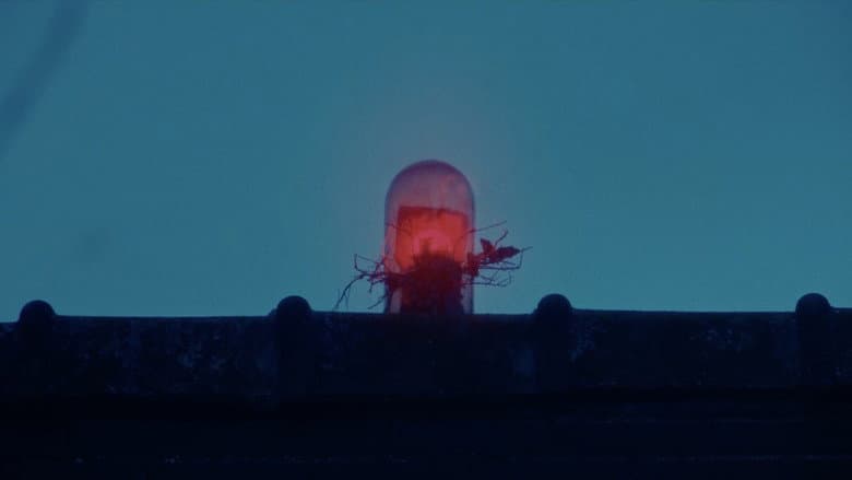 /nXS0X9ZYOXuAv0J2MbQwM24jf1b.jpg