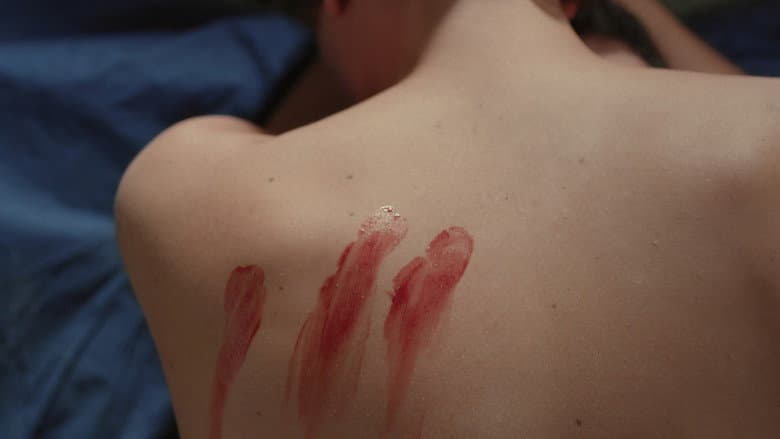 /nZPacxj3euA7OY1AaOdGe15dayv.jpg
