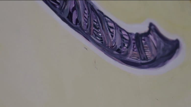/npbGTDuTgqqUGQN096uB7rPKFGZ.jpg