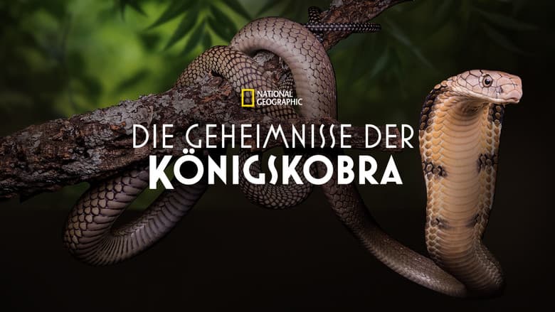 /o2mnoL7VuJcLXvbo27vuW3HYtil.jpg