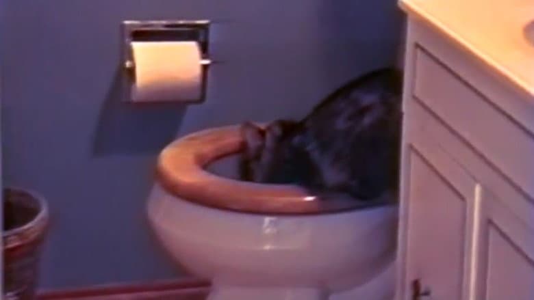 /oZCSE5q8OckfAVQTqDXVEF9HiEL.jpg