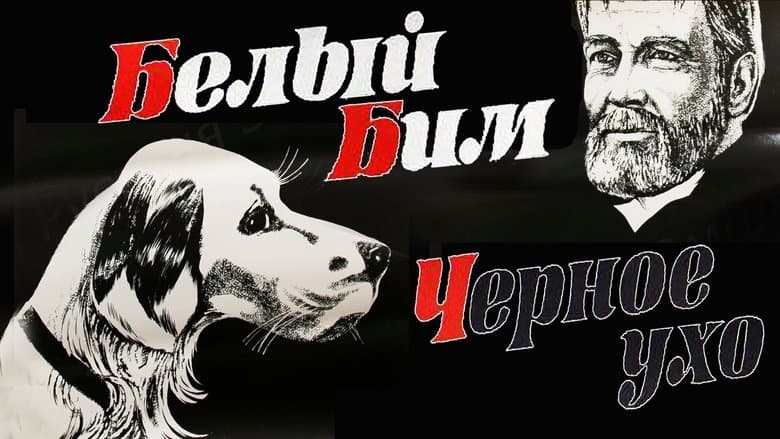 /oeLP6lSJ3n9sJU1e2y8IlZQJjQg.jpg