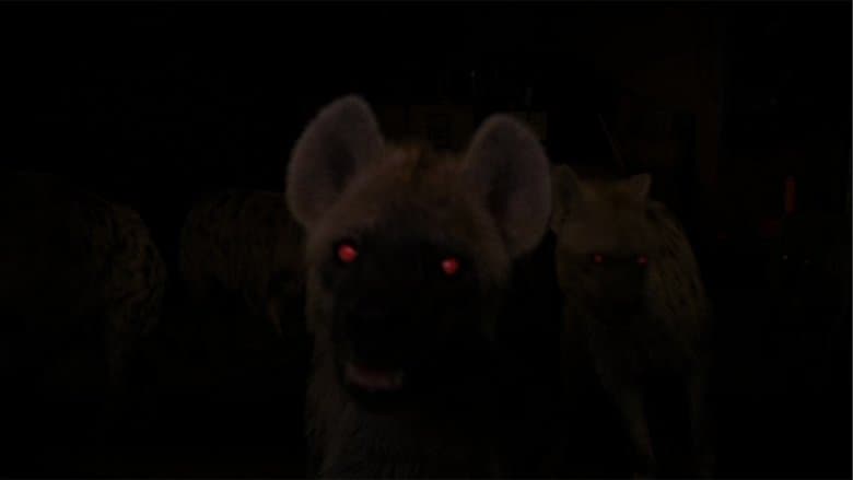 /osCkWCwHjC3H1gLo20X8MIMGlC0.jpg