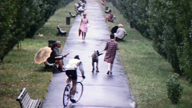 /oxNhN4vosDm2wcbMZQwbFgqtppG.jpg