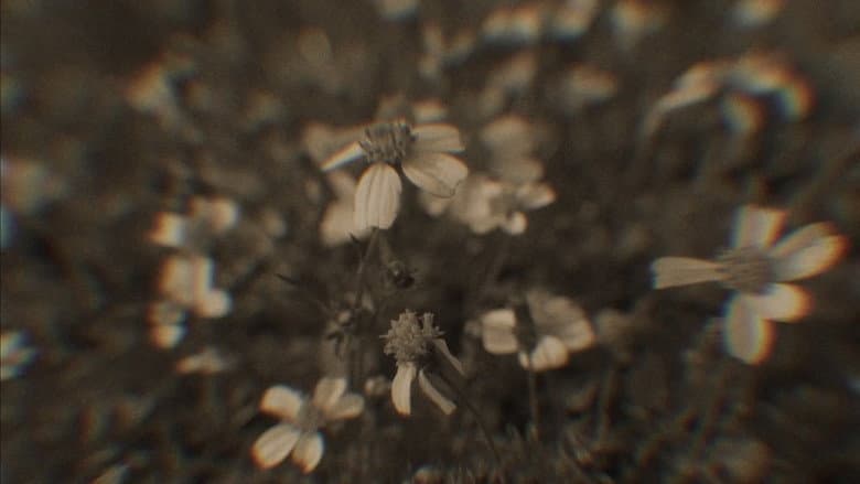 /oxYaXjYf1zbtzl703lHdvIW0sMq.jpg