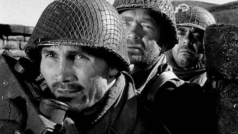 /pDrXTaeV4v6VS96Y20QDBFRPLKN.jpg
