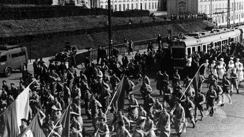 /pFodVfOLAxzh28lTmhagoXNQtKs.jpg