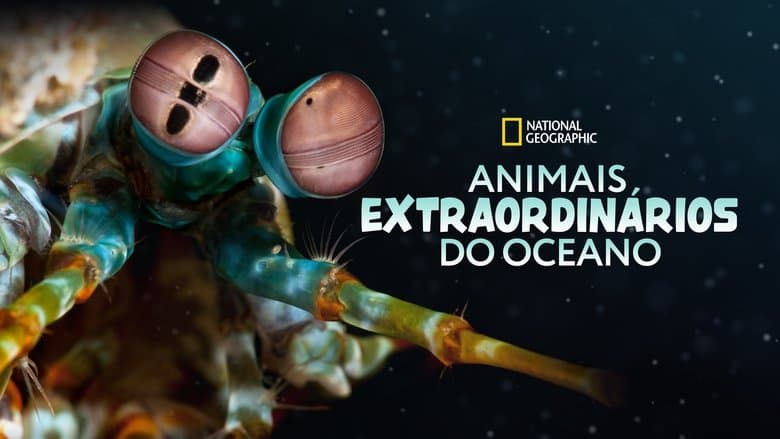 /phg2e4GqHhlayefdli2XXb8oIeA.jpg
