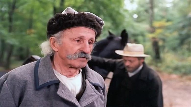 /qCePem1kLFHSOYHZ2Xhen3KatEW.jpg