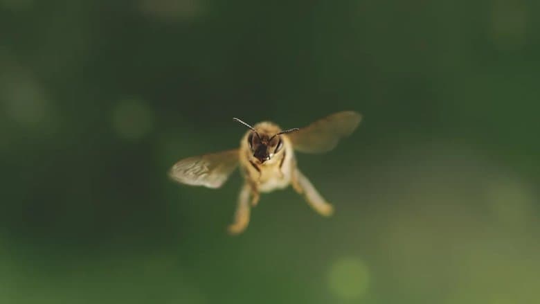 /qRihoJGTyHKCTta9ci61PBIOmy8.jpg