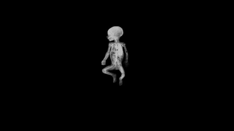 /qrqnni42xtYxBd5zEPtWm1XKV2m.jpg