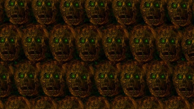 /rDgW1MdWaYbuYaEFaojyJw9JlA3.jpg