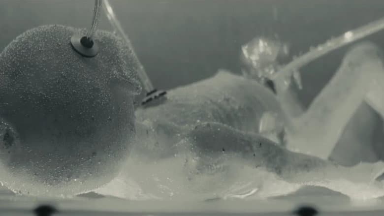 /ryxOSiZg2FoAXUnjuBJEecPvFhD.jpg