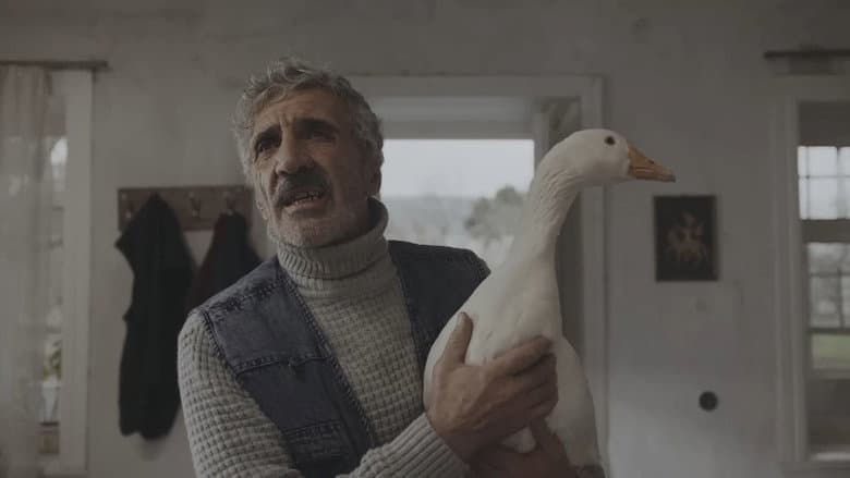 /sAkFIl9i8cuVLrTibNgVsOyk8Kk.jpg