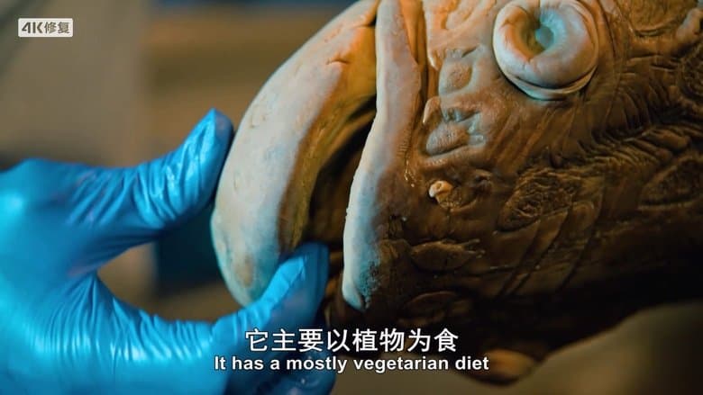 /sHixAWi9rVd9bEHpwmK4GYeMT0p.jpg