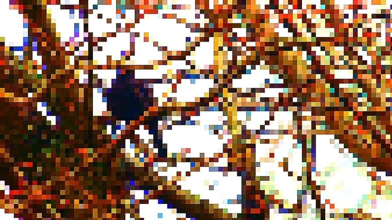 /sXZyOSczqN46t7Dn5Q5tg1vUWVm.jpg