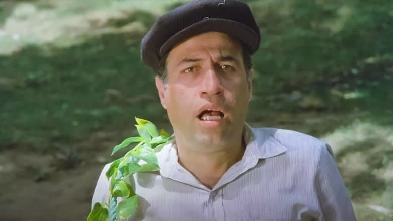 /sYYFtpwufar3tbOzalDW3zbdF0T.jpg
