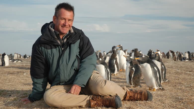/sbSMRxCsYsrKfviFFYEIvAfCzLc.jpg