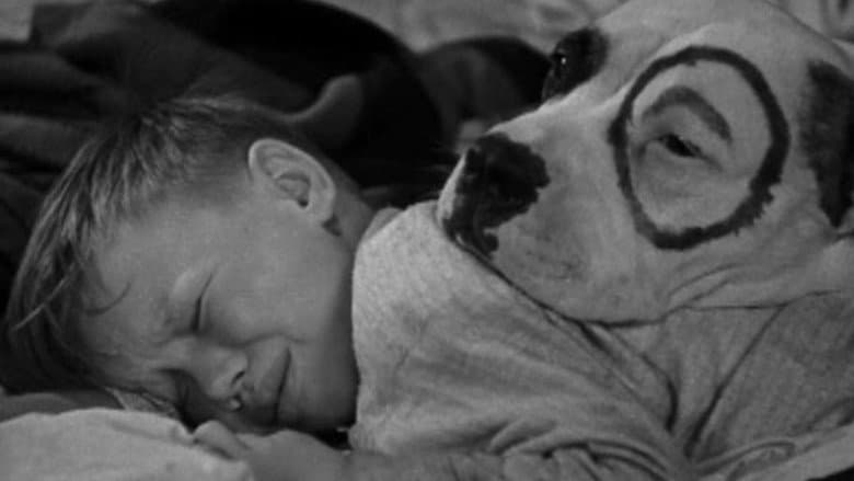 /slm6ZZvgLcg8ULOAAosURUNElea.jpg