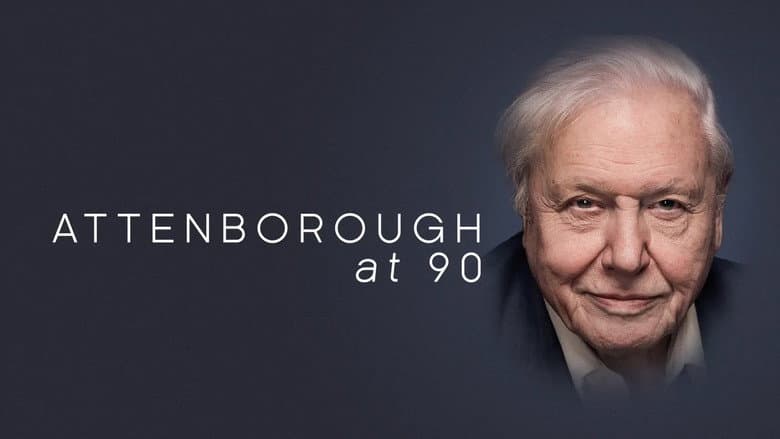/t8W8HOZ1Tfi72lHpkNXdBdd7l65.jpg