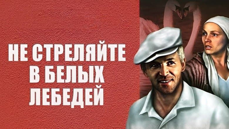 /tIi5P3Rf09zNGFztoGk9CHKLafW.jpg